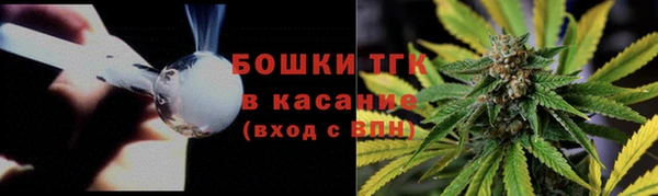 эйфоретик Верхний Тагил