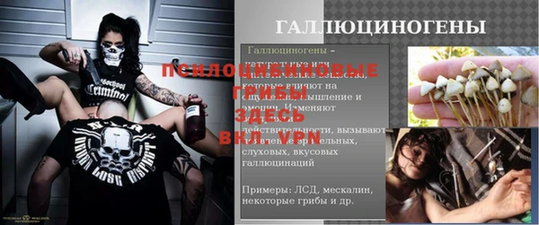 прущая мука Верея