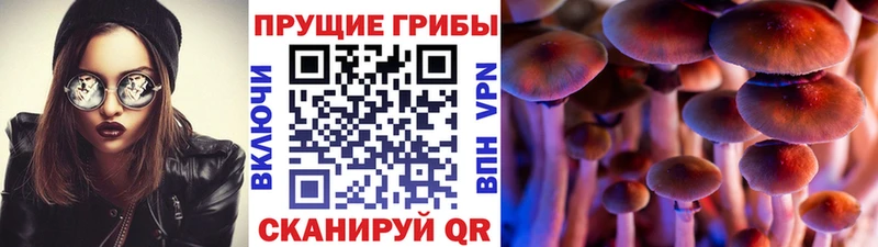 Псилоцибиновые грибы GOLDEN TEACHER  закладка  Ижевск 